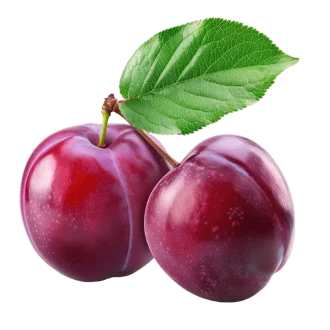Fresh & Organic Red  Plum