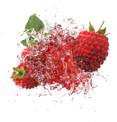 strawberry-broken,jpg